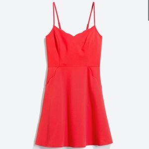 Scallop Detail Dress- with pockets!